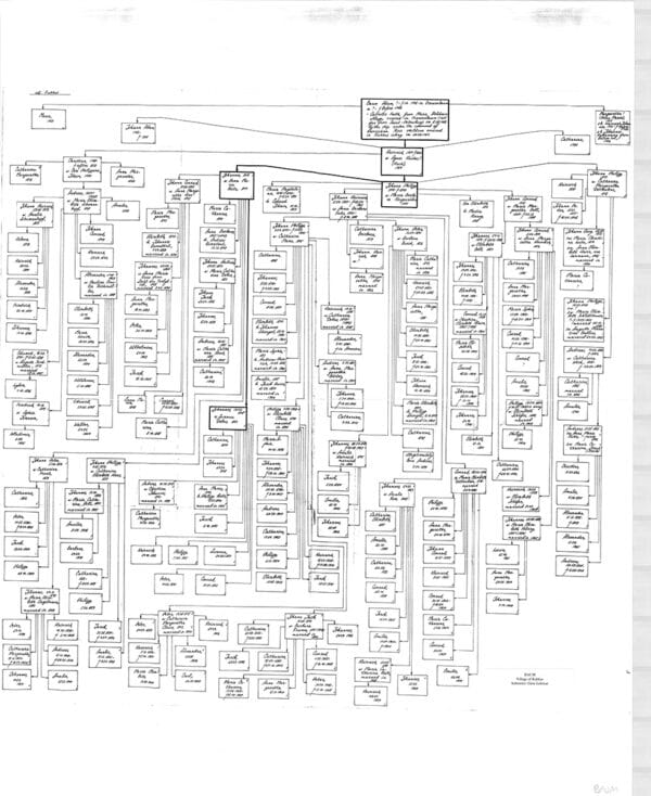 BAUM chart (village of Kukkus)