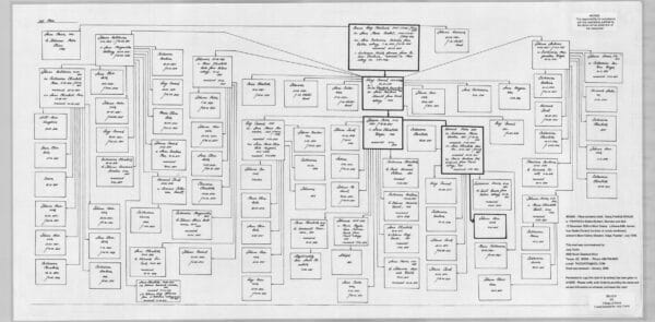 BRAUN chart (village of Walter)