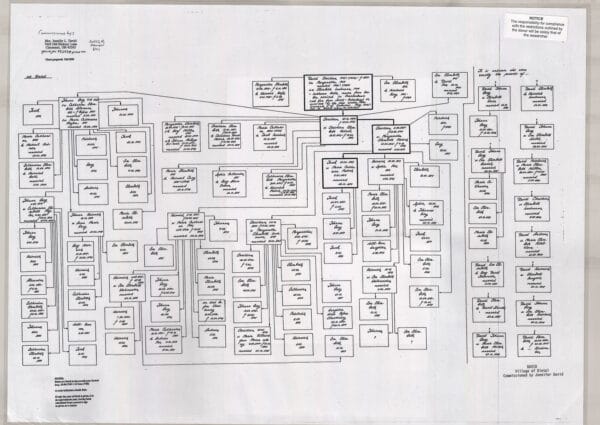 DAVID chart (village of Dietel)