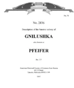 Pfeifer - 1798 Census