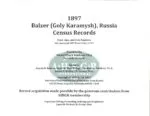 1897 Balzer (Goly Karamysh), Russia Census Records